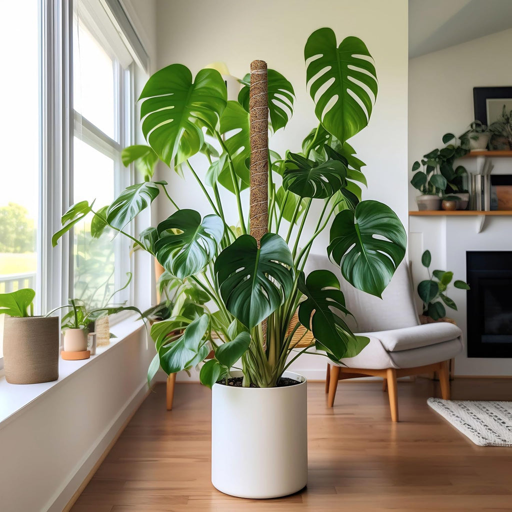 EcoNour Moss Pole for Plants – 28 inches (4 Pack) | Monstera Plant Support for Plant Climbing and Growth | Elevate Your