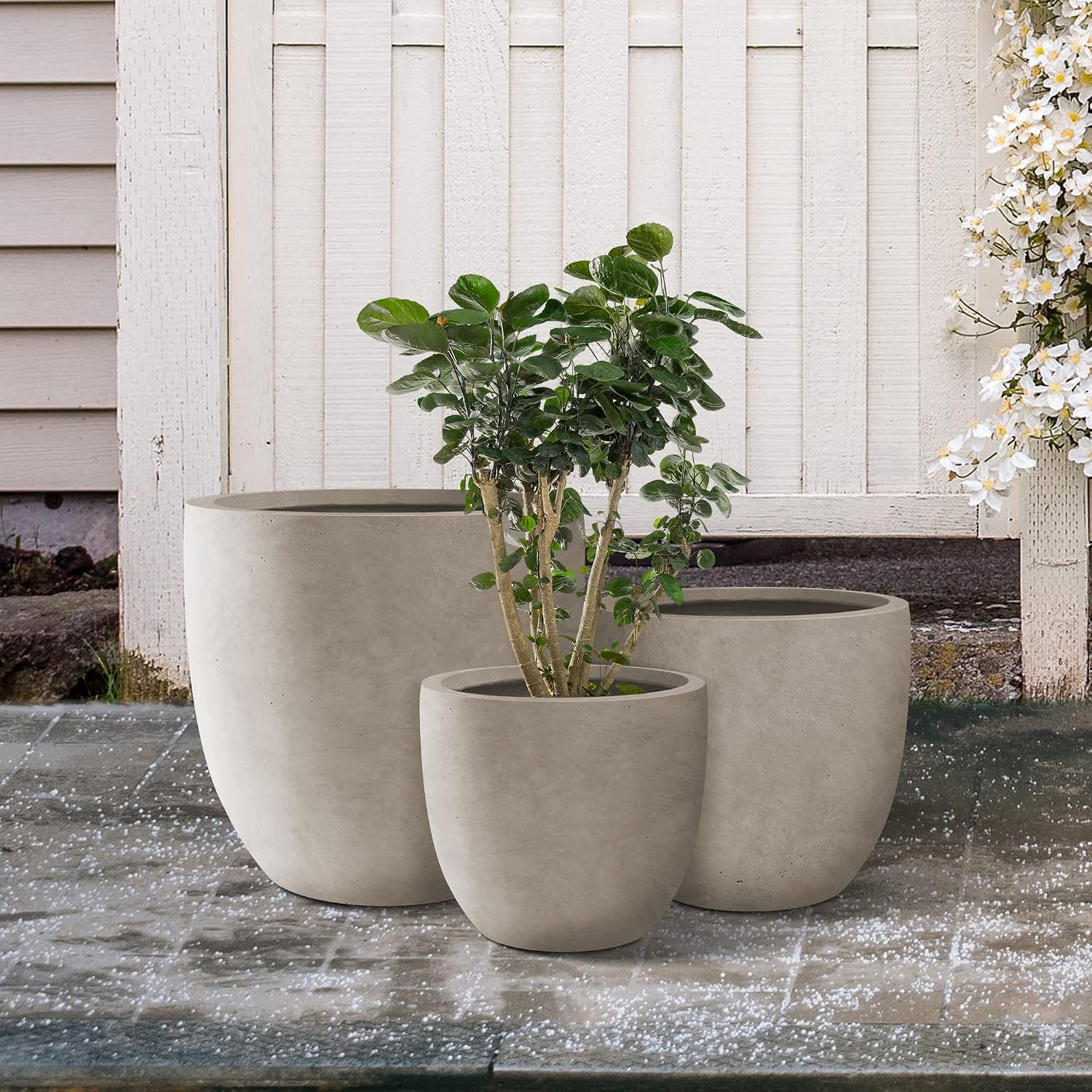 Kante Set of 3 Weathered Concrete Bowl Round Planters for Modern Home | Handcrafted, Premium, Durable, All-Weather