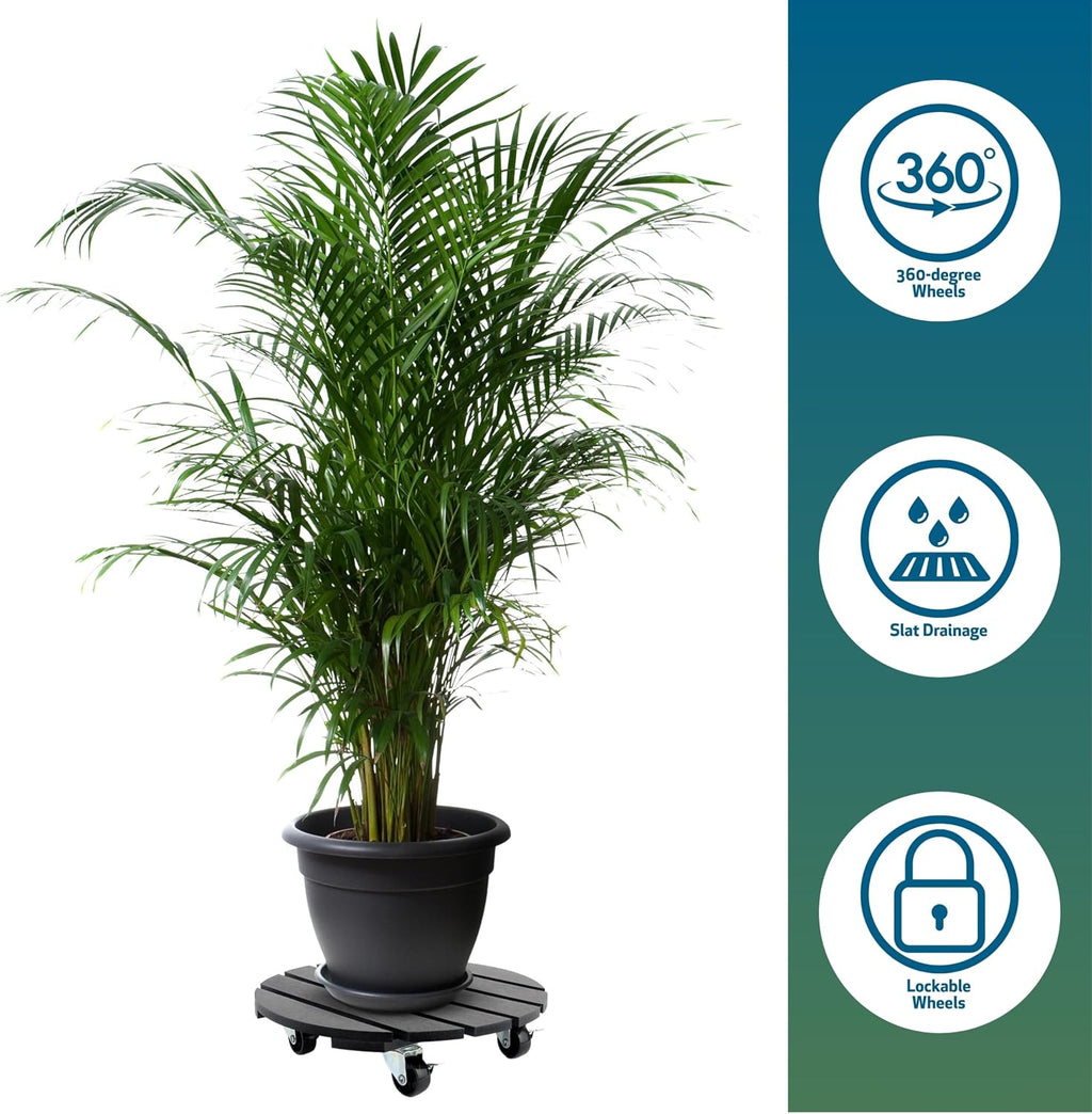 12" Plant Caddy, 2 Pack – Crafted from Recycled HDPE, 220 Lbs Capacity Dolly with 360-Degree Lockable Wheels for Plant