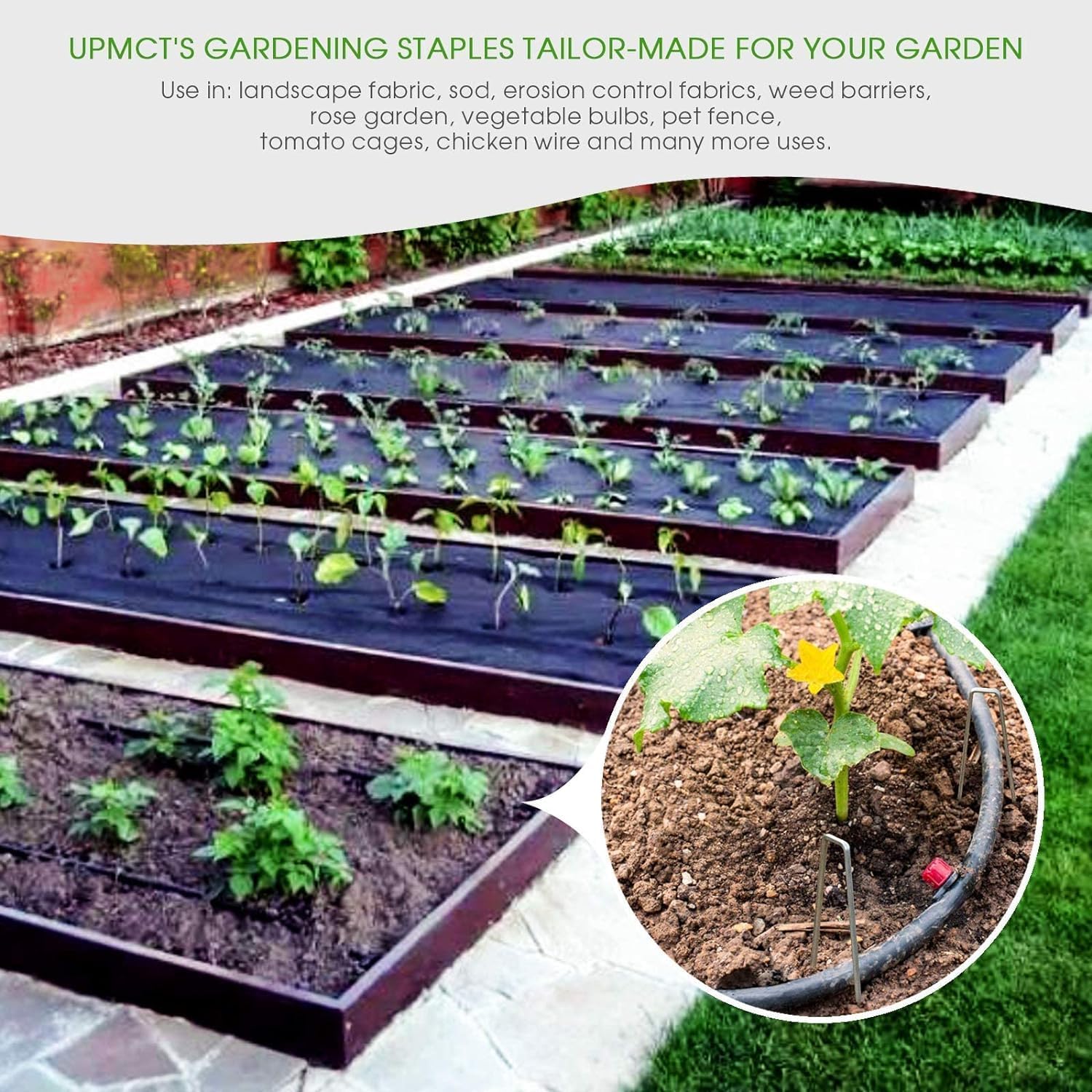 12 Inch Galvanized Garden Landscape Staples Stakes, 25 50 100 PCS Anti-Rust Garden Staples Tent Ground Stakes U-Shaped