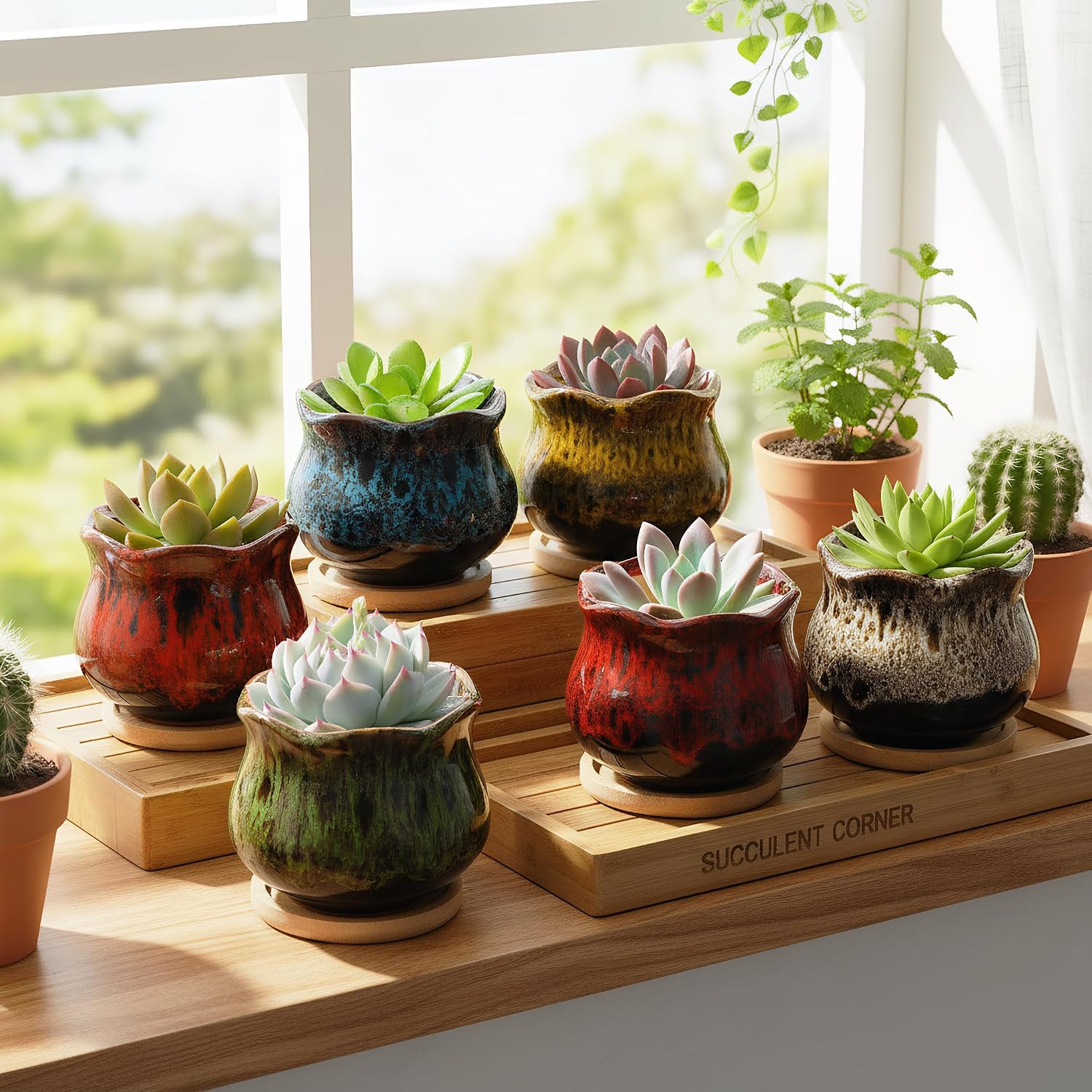 TOPZEA Set of 6 Succulent Plant Pots, 4 Inch Glazed Ceramic Cute Plant Pots with Drainage and Saucer, Mini Bonsai