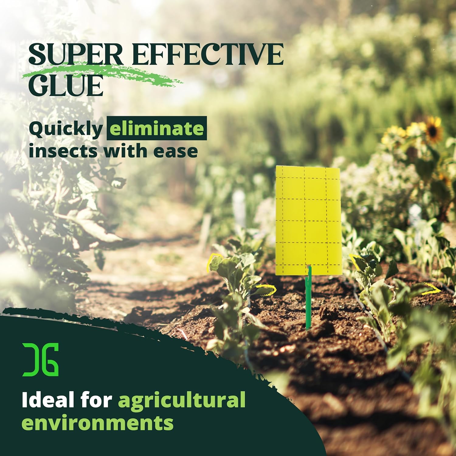 Catchmaster GRO Yellow Regular Double Sided Sticky Traps 72PK, Adhesive Bug & Fruit Fly Trap, Pest Control for Home