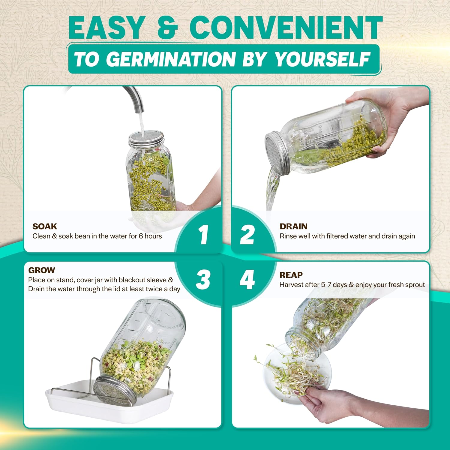 2000ml(68oz) LARGE SIZE Seed Sprouting Mason Jar Kit with Stand, Drain Tray | Screen Lids Seed Sprouting Kit, Blackout