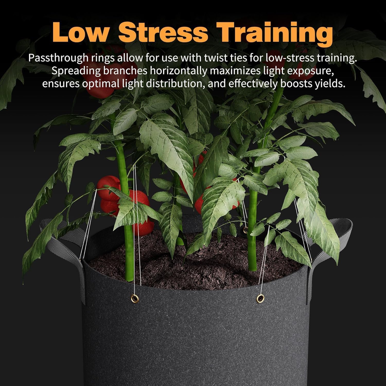 Patigrow Self-Watering Grow Bags, 5-Pack 3 Gallon 420G Thick Nonwoven Fabric Pots with Reinforced Handles and