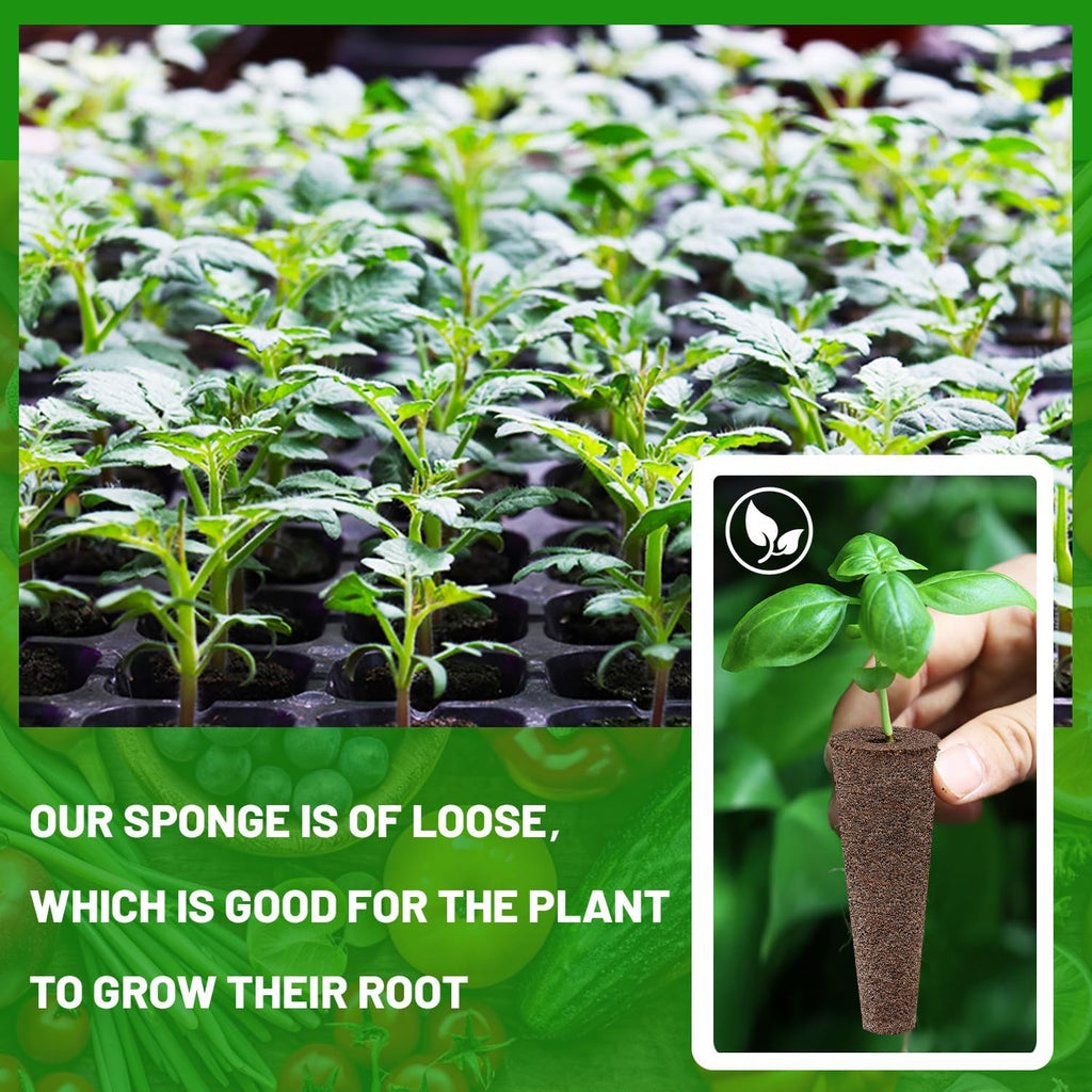 200 Pack Hydroponic Grow Sponges, Seed Pods Replacement | Grow Sponges for Greenhouses & Germination Equipment, Starter