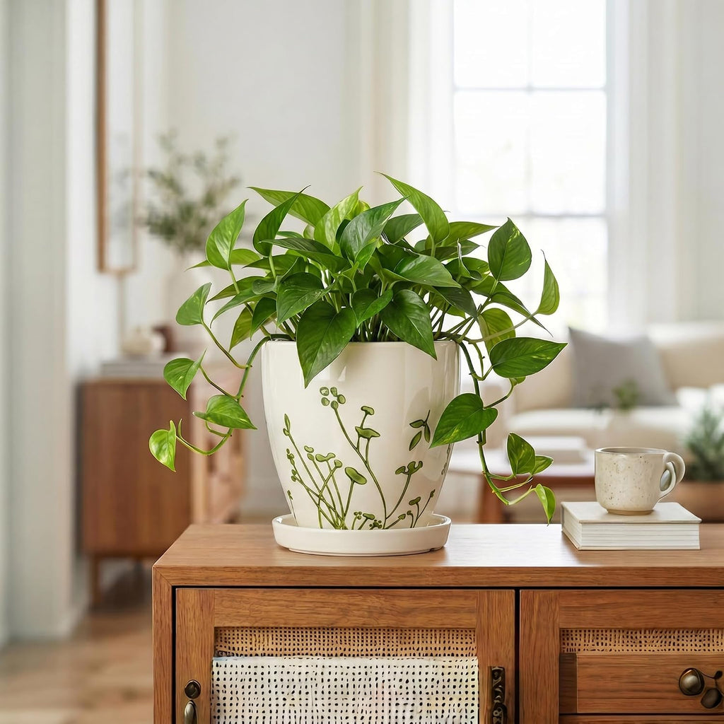 6 Inch Plant Pot - Ceramic Pots for Plants with Drainage Hole and Saucer, Ceramic Succulent Pots for Indoor Outdoor