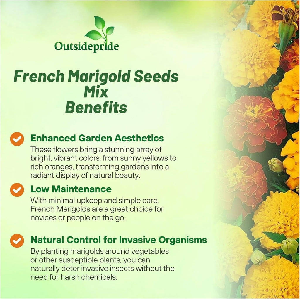 Outsidepride French Marigold Seeds Mix - 1 Lb. Annual, Compact, Heat & Drought Tolerant Flower Seeds for Planting