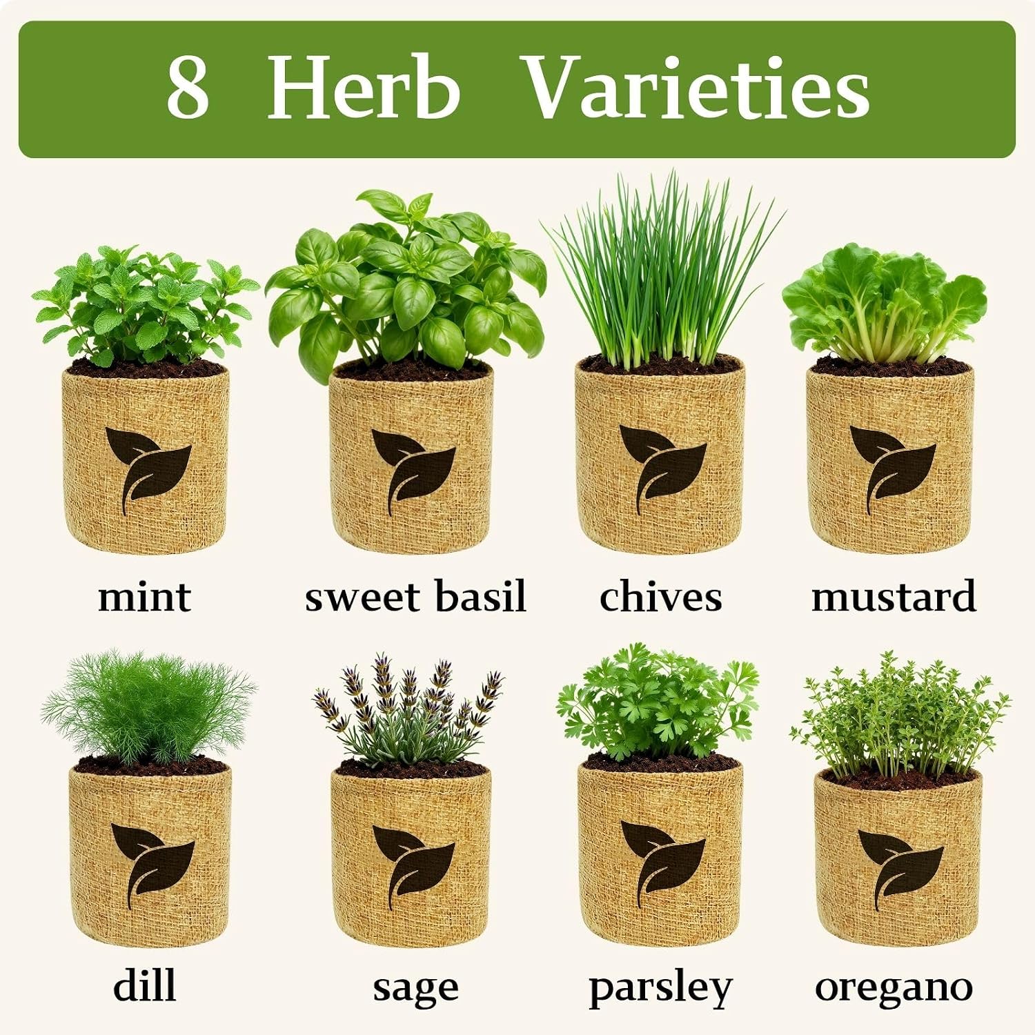 Indoor Herb Garden Start Kit - Unique Gifts for Women, Mothers Day Gifts, Easy House Plant- Birthday for Women,House