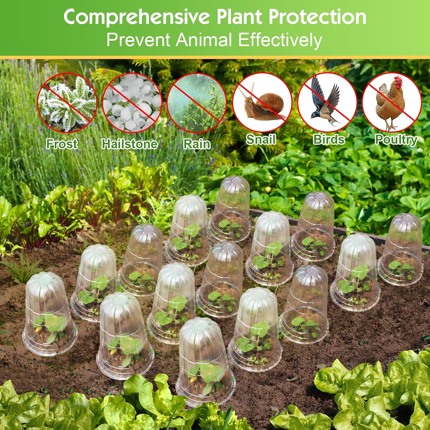 20 Pcs Upgraded Transparent Garden Cloches for Plants, Reusable Plant Covers, Plant Protectors from Animals for Garden
