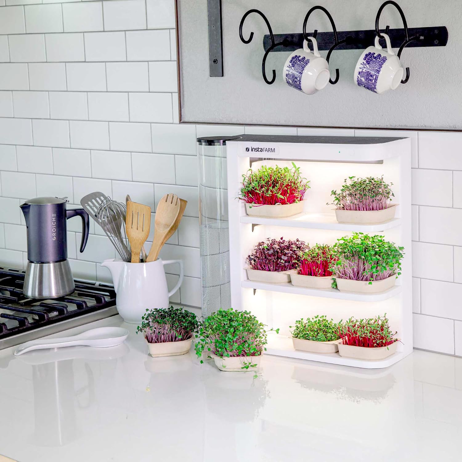 Indoor Garden, Fully Automated LED Growing Unit for Microgreens, Herbs, Leafy Greens, Organic Soil-Based, Low/No
