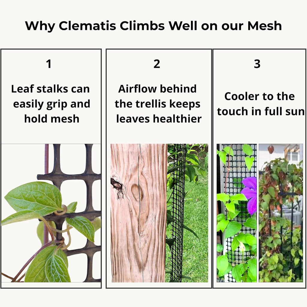Deck Post Trellis for Clematis and Climbing Plants, 1-Pack | Slim 4-inch wide trellis wall-mounted grid supports 50 lbs