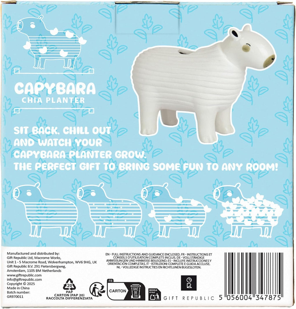 Gift Republic Capybara Chia Planter Desktop Sprouting Chia Animal Fun Grow Kit