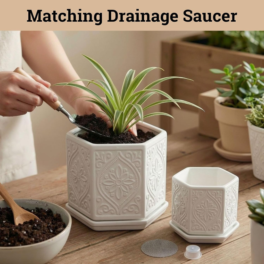 Ceramic Pots for Plants Set of 2, 6-Inch & 4-Inch Wide w/ Drainage & Saucer | Thick Durable Ceramic Pots with Matching
