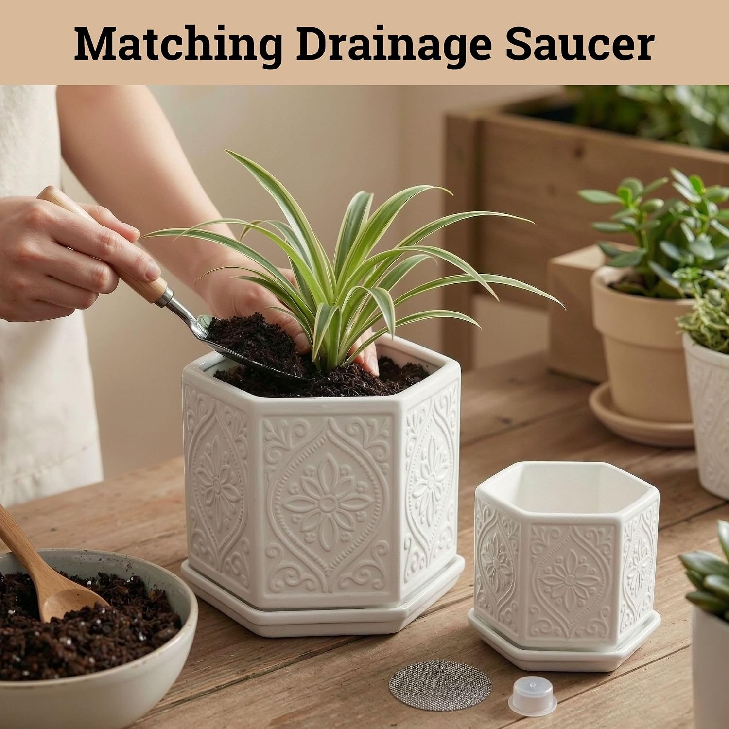 Ceramic Pots for Plants Set of 2, 6-Inch & 4-Inch Wide w/ Drainage & Saucer | Thick Durable Ceramic Pots with Matching