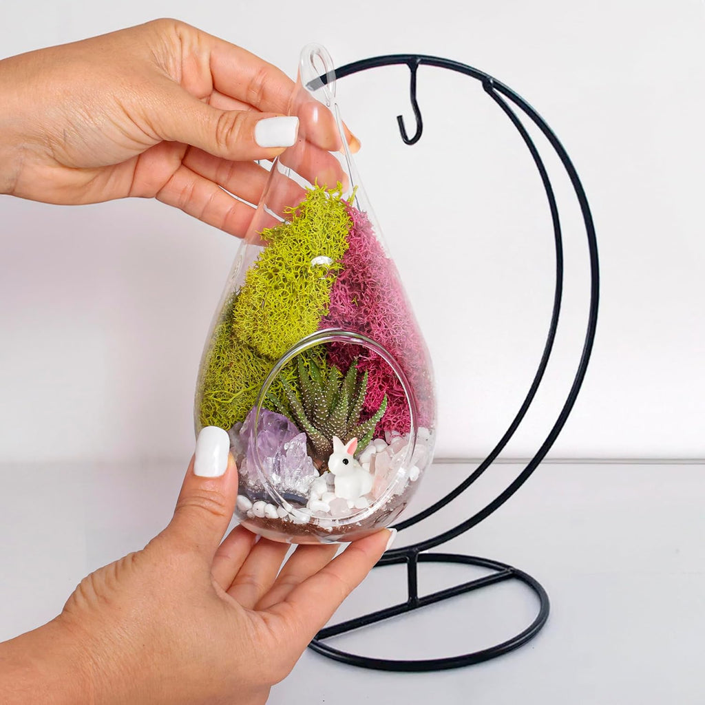 Creations by Nathalie DIY 7" DIY Teardrop Terrarium Kit - Build Your Own Glass Terrarium for Adults & Teens with Moss