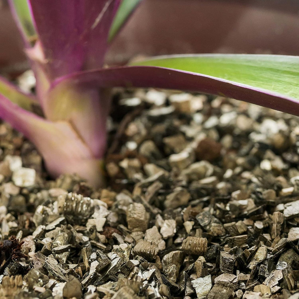 Zamioculcas Potting Mix - Unlock Robust Growth and Striking Leaves with Our High-Performance Formula - 20 Quart