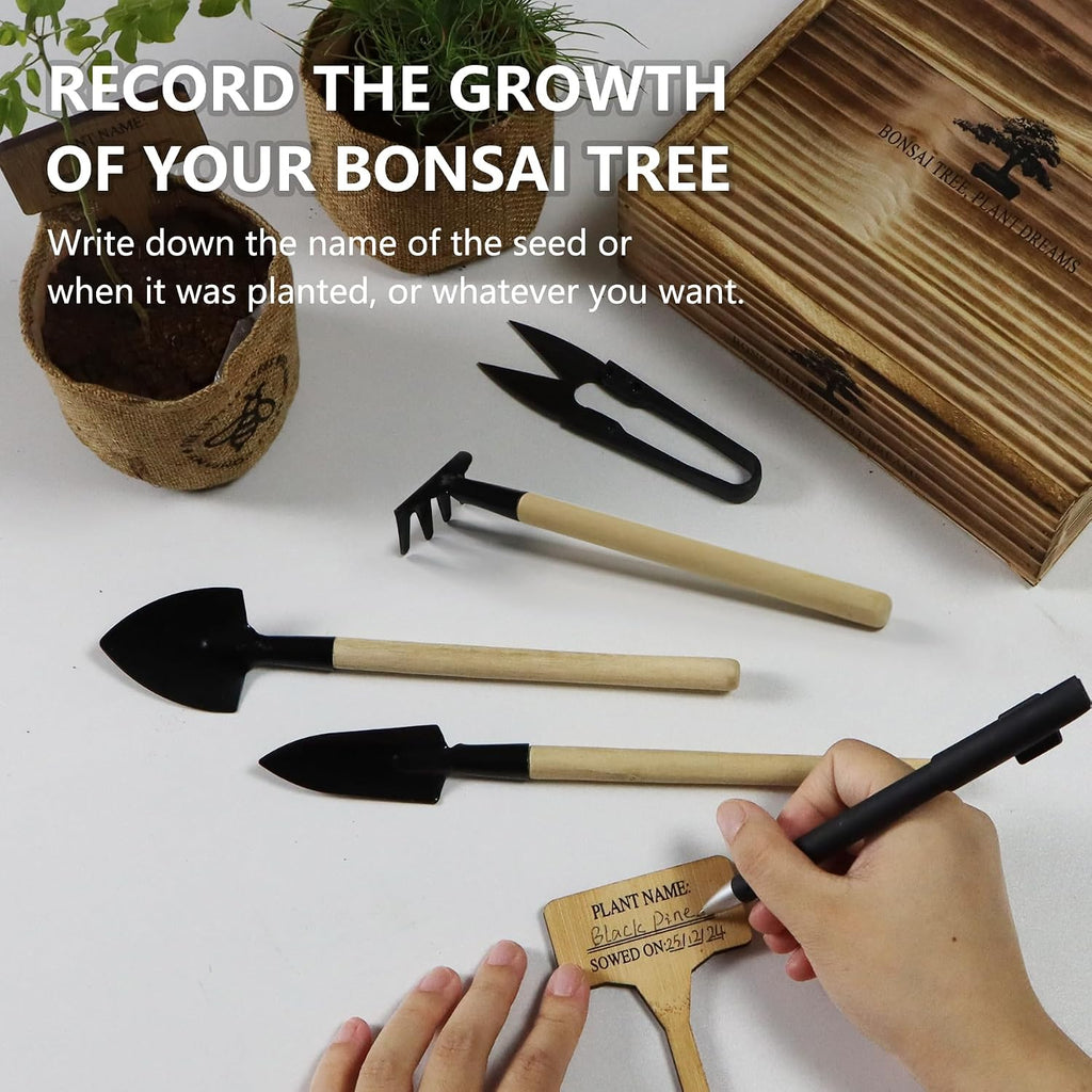 Bonsai Tree Starter Kit for Beginners - Indoor Live Plant Gardening Adult Craft DIY Kits - Unique Christmas, Birthday