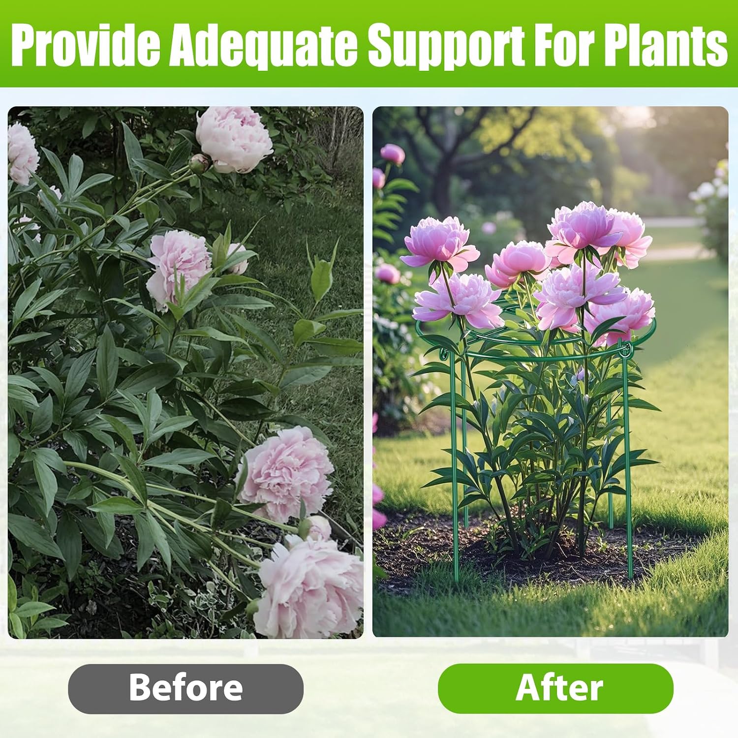 4 Pack Large Peony Cages and Supports, 14" D x 24" H Metal Plant Supports | Heavy Duty Metal Peony Support Cage Flower