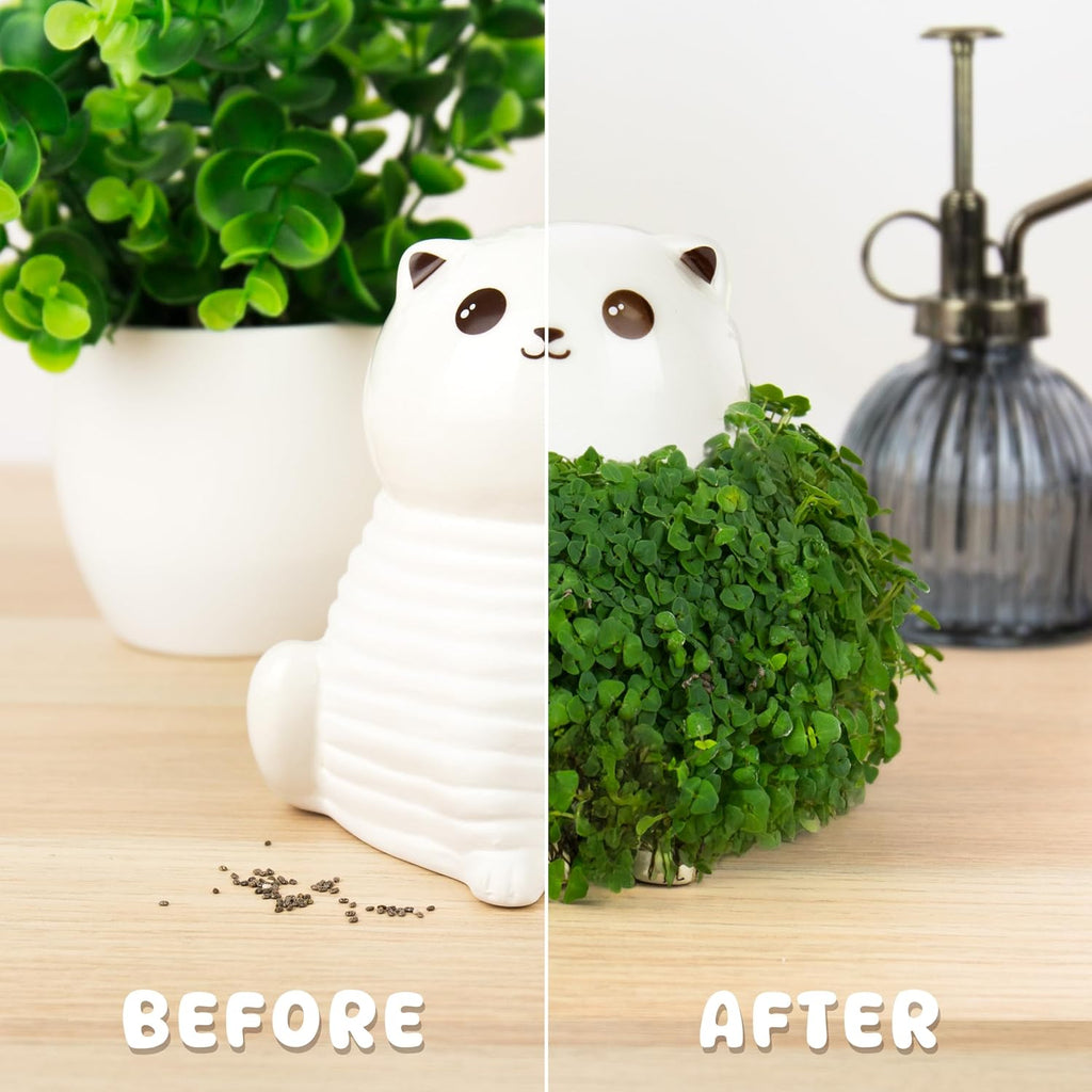 Gift Republic Cat Chia Planter Desktop Sprouting Chia Animal Fun Grow Kit