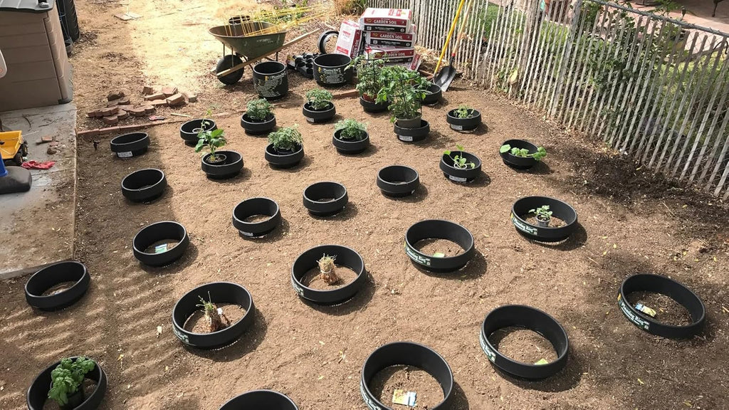 14-Pack 16-inch Planting Rings – Deep Watering Basin & Garden Edging.