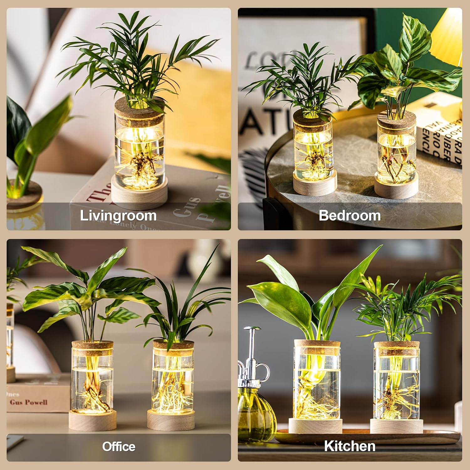 Glass Plant Propagation Stations, Propagation Vases for Plants with Ambient Light Base, Hydroponic Vase for Home &