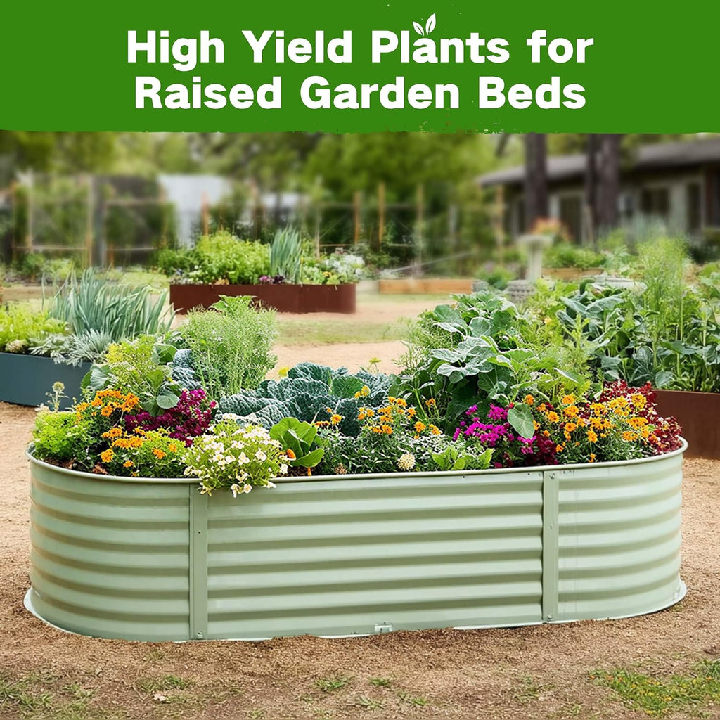 Lush&Dew Raised Garden Bed Heirloom Seed Bank, 32 Type 30000+ Non-GMO Seeds | USA-Sourced Seeds for Planting Vegetables