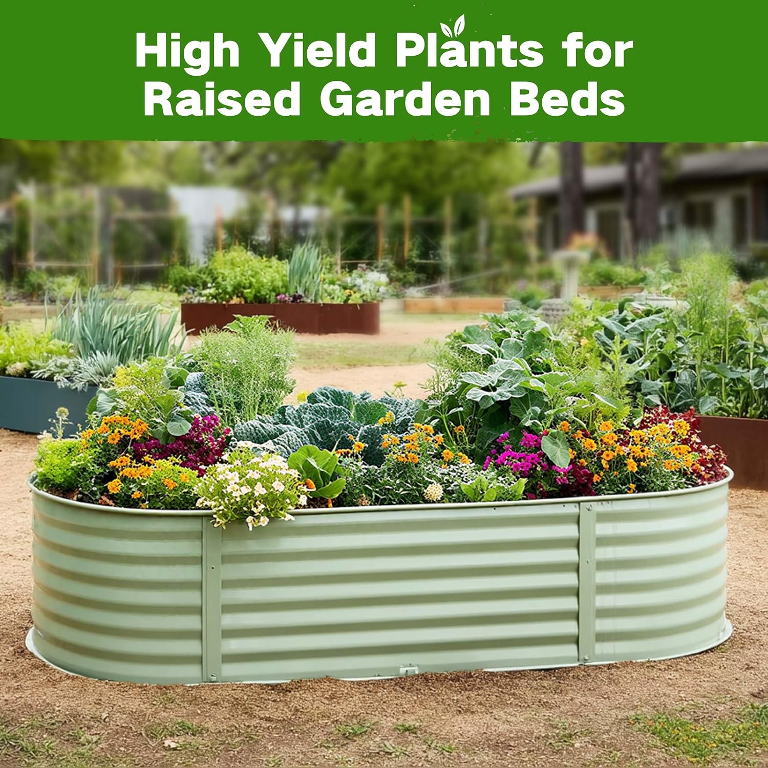 Lush&Dew Raised Garden Bed Heirloom Seed Bank, 32 Type 30000+ Non-GMO Seeds | USA-Sourced Seeds for Planting Vegetables