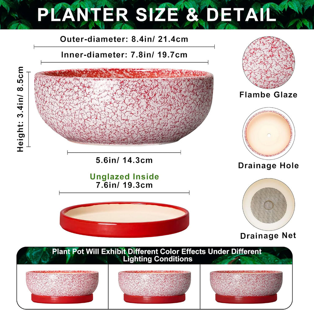 Ceramic Succulent Planter, 8 Inch Bonsai Pots with Tray, Texture Red | Succulent Pots for Indoor Plants, Round Shallow