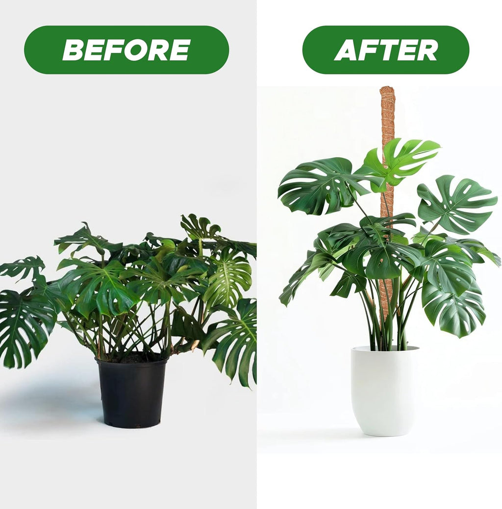 EcoNour Moss Pole for Plants – 28 inches (4 Pack) | Monstera Plant Support for Plant Climbing and Growth | Elevate Your