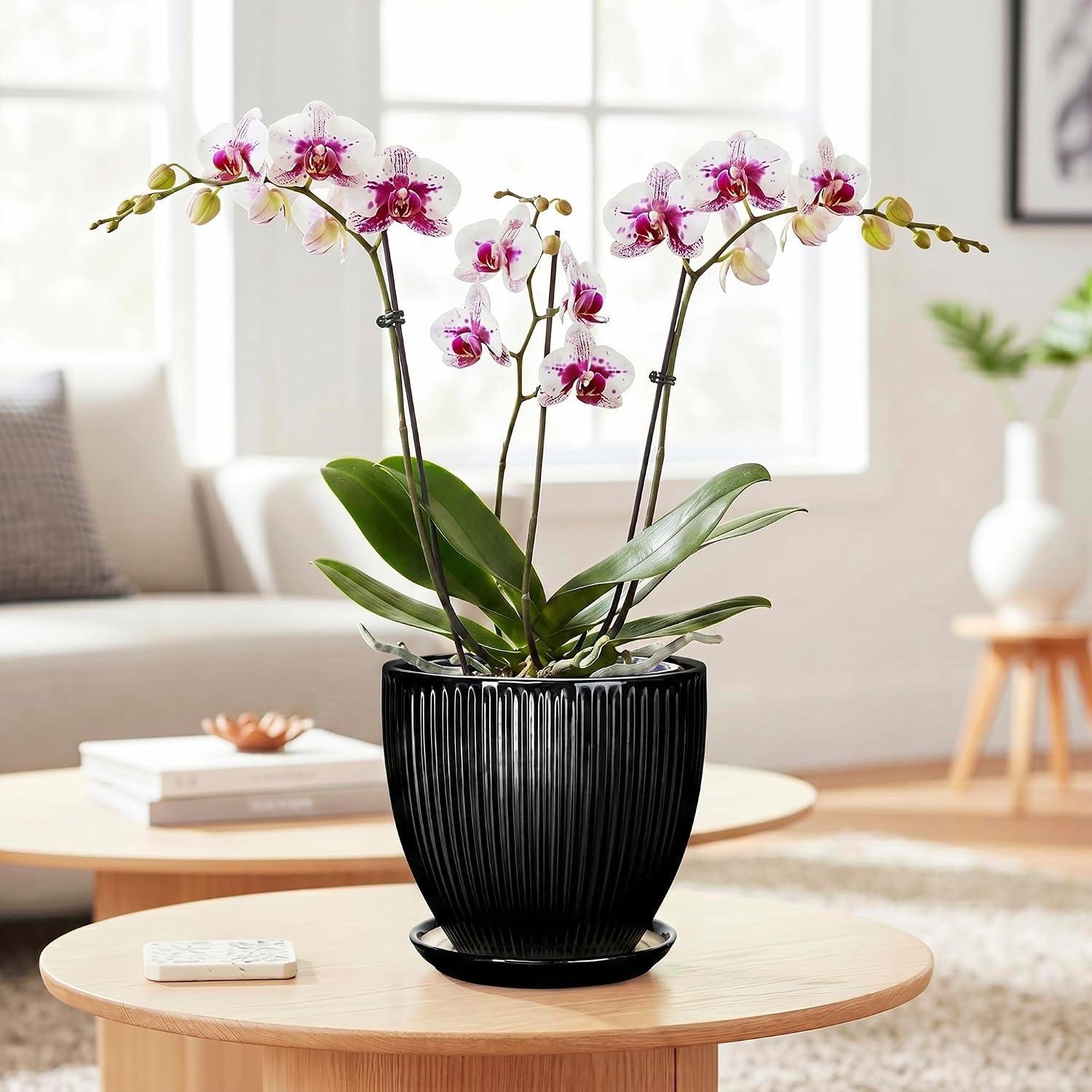 6 Inch Ceramic Planter, Indoor Plant Pots for Small Plants, Decorative Flower Pots with Drainage Hole and Saucer, Round