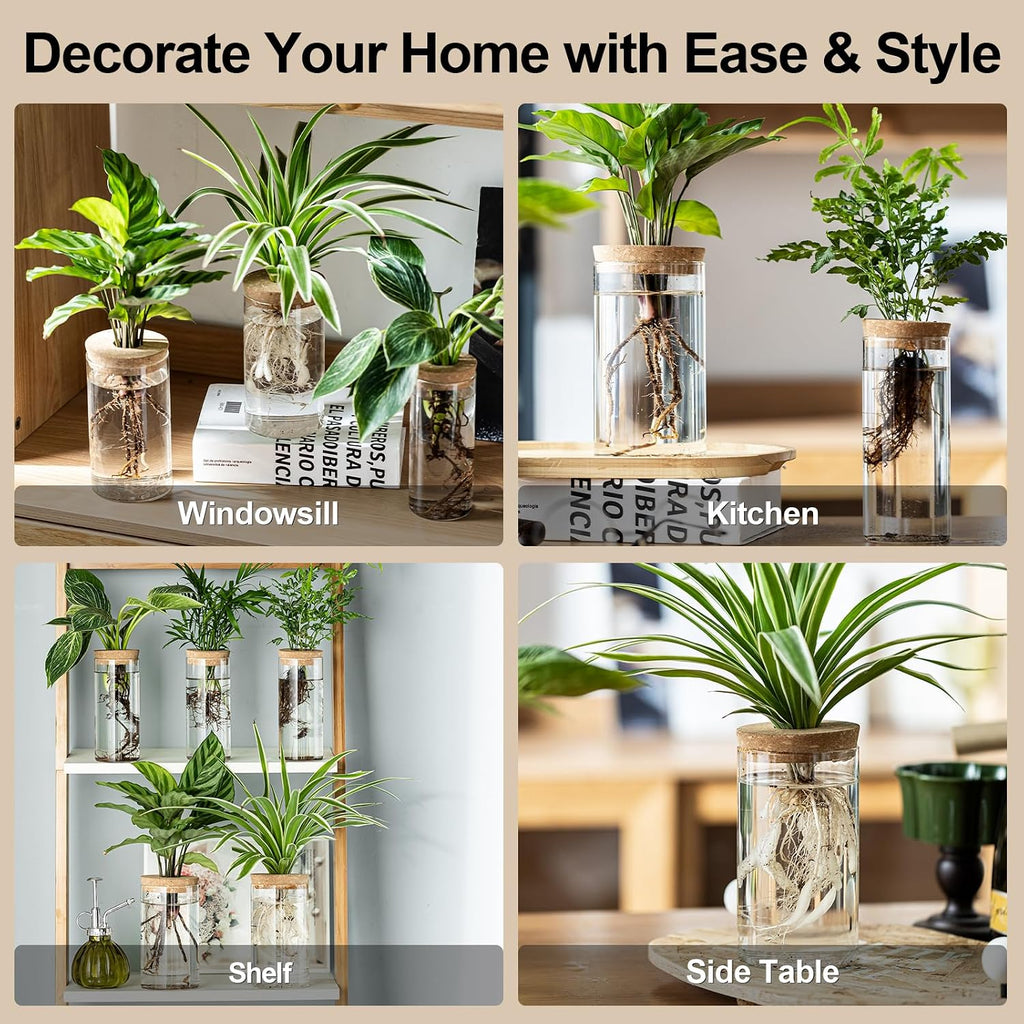 Propagation Vases for Plants, Set of 8(4 Large & 4 Small) Glass Plant Propagation Stations, Plant Propagation Jars for