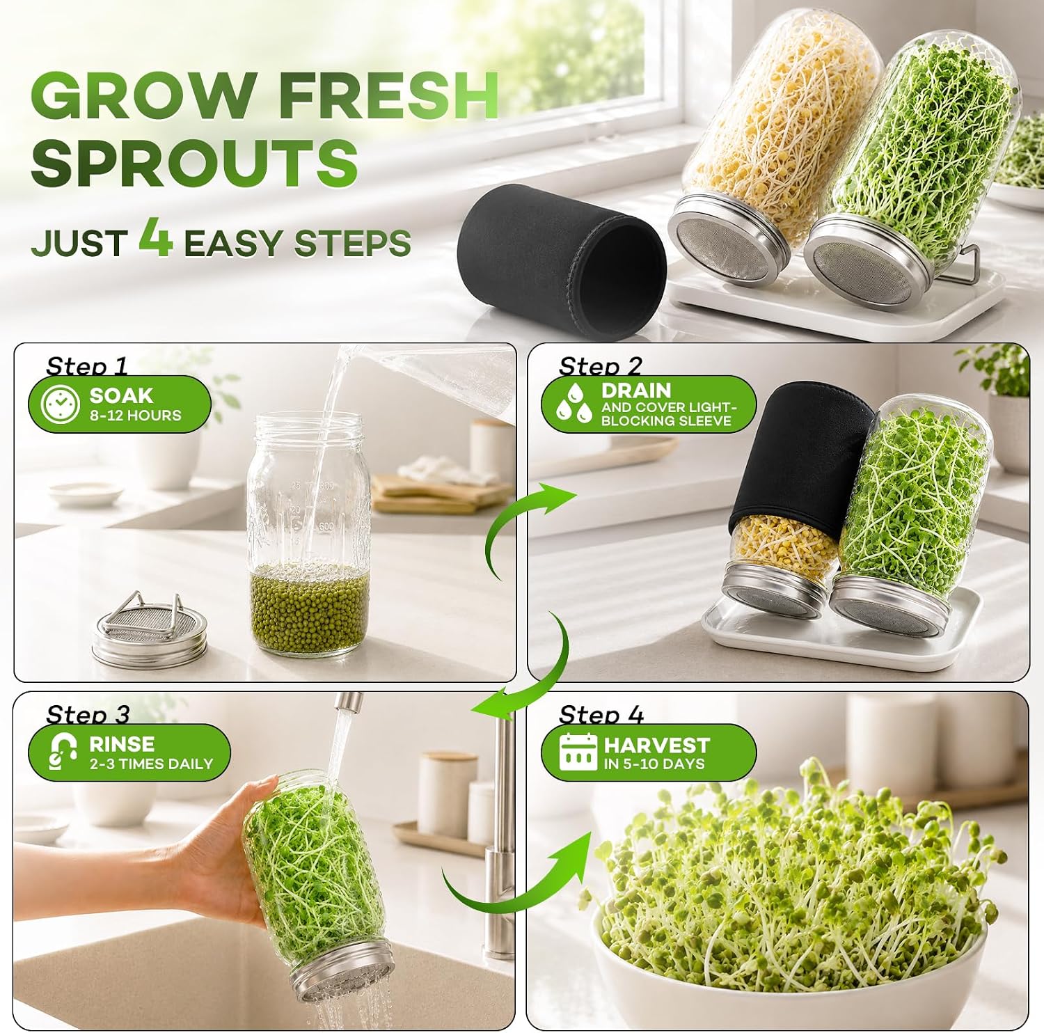 Seed Sprouting Jar Kit with Mung Beans & Radish Seeds, 2 Large Mouth Mason Jars with Stainless Steel Stand, Blackout