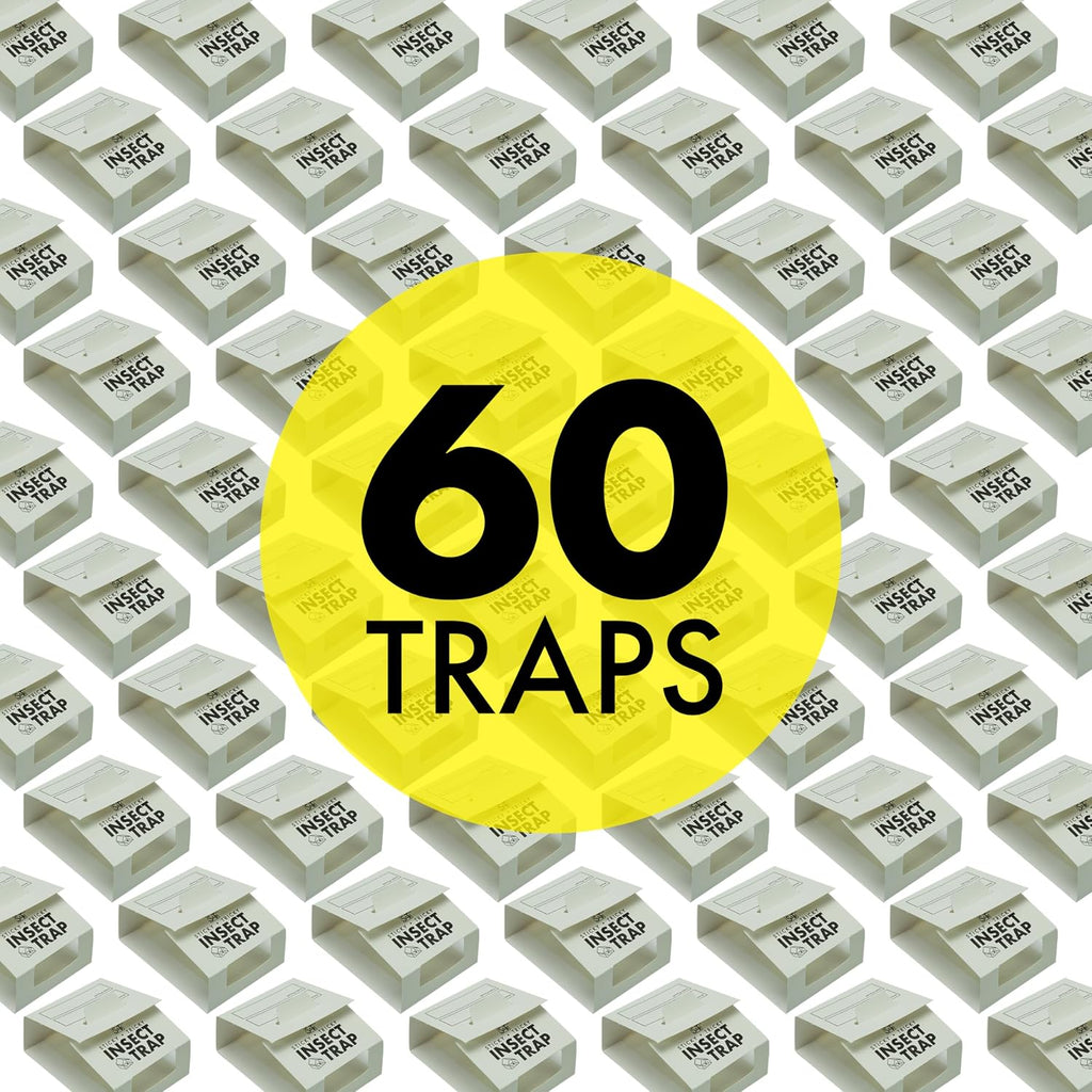 S&T INC. Insect Traps for Pest Control, 60 Pack | Glue Traps for Brown Recluse, Hobo Spiders, Black Widows, Home