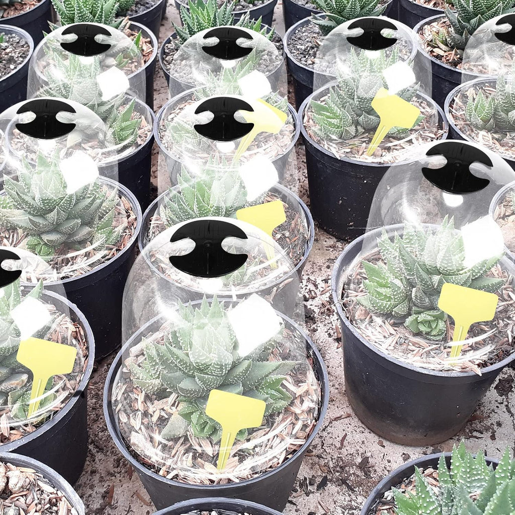 20 Pack Garden Cloches for Plants Clear Bell Covers 7.3x6.7 Inch | with 60 Pegs 20 Labels, Freeze Protection Humidity