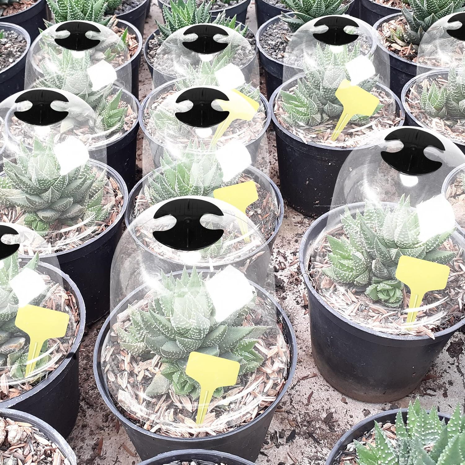 20 Pack Garden Cloches for Plants Clear Bell Covers 7.3x6.7 Inch | with 60 Pegs 20 Labels, Freeze Protection Humidity