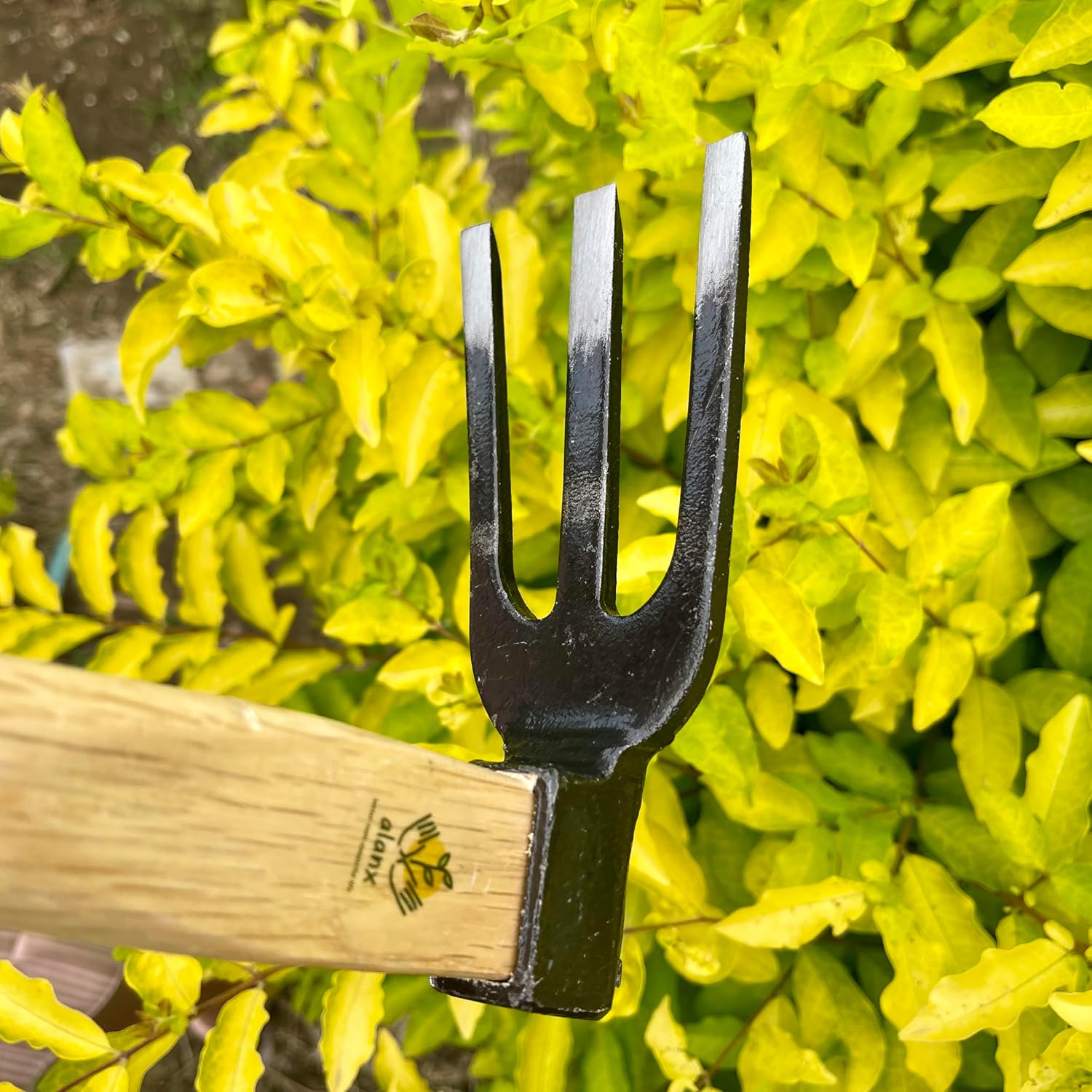 14 inch Japanese Hand Tiller/Rake for Garden, 3-tines Cultivator, Without Welding, Oak Handle, for Digging, Soil