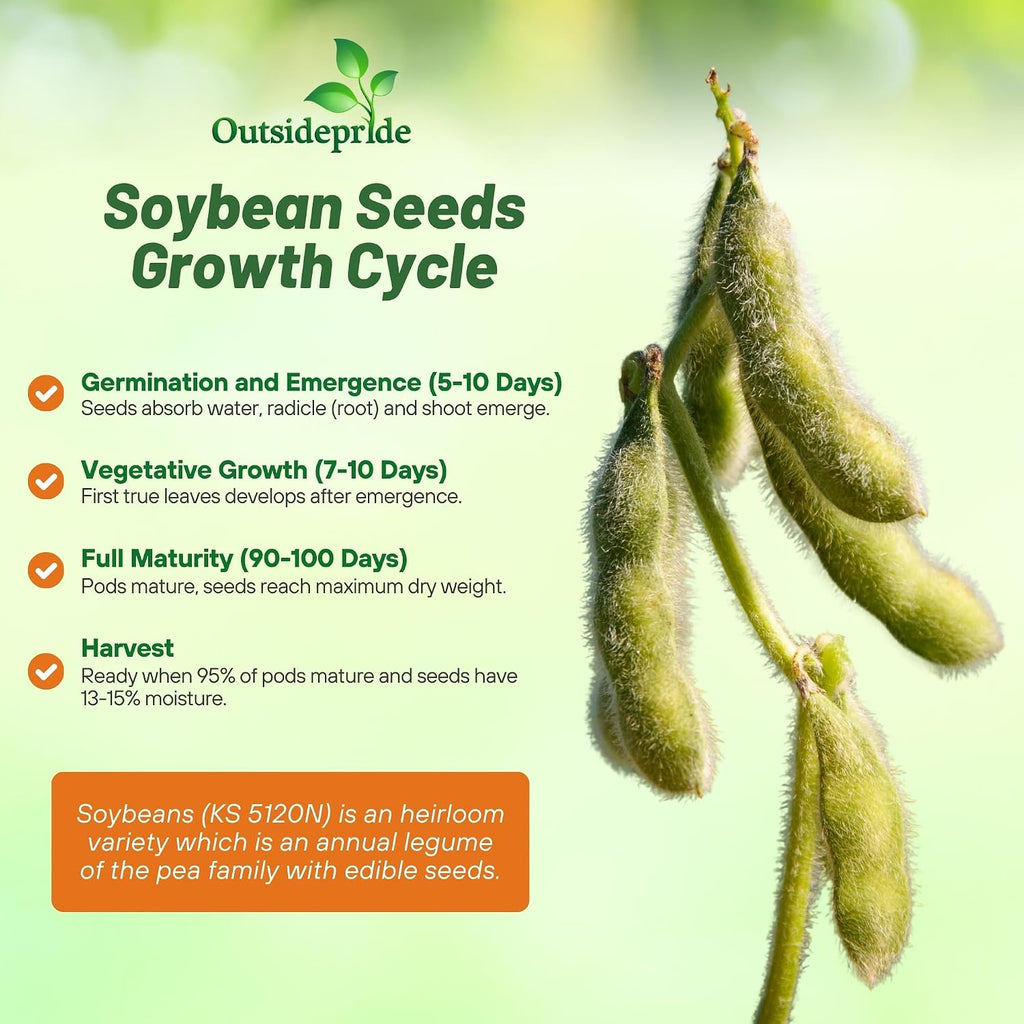 Outsidepride Soybean Seeds - 5 lbs High-Protein & High Yield Heirloom Variety Soy Beans, Ideal for Oil Processing