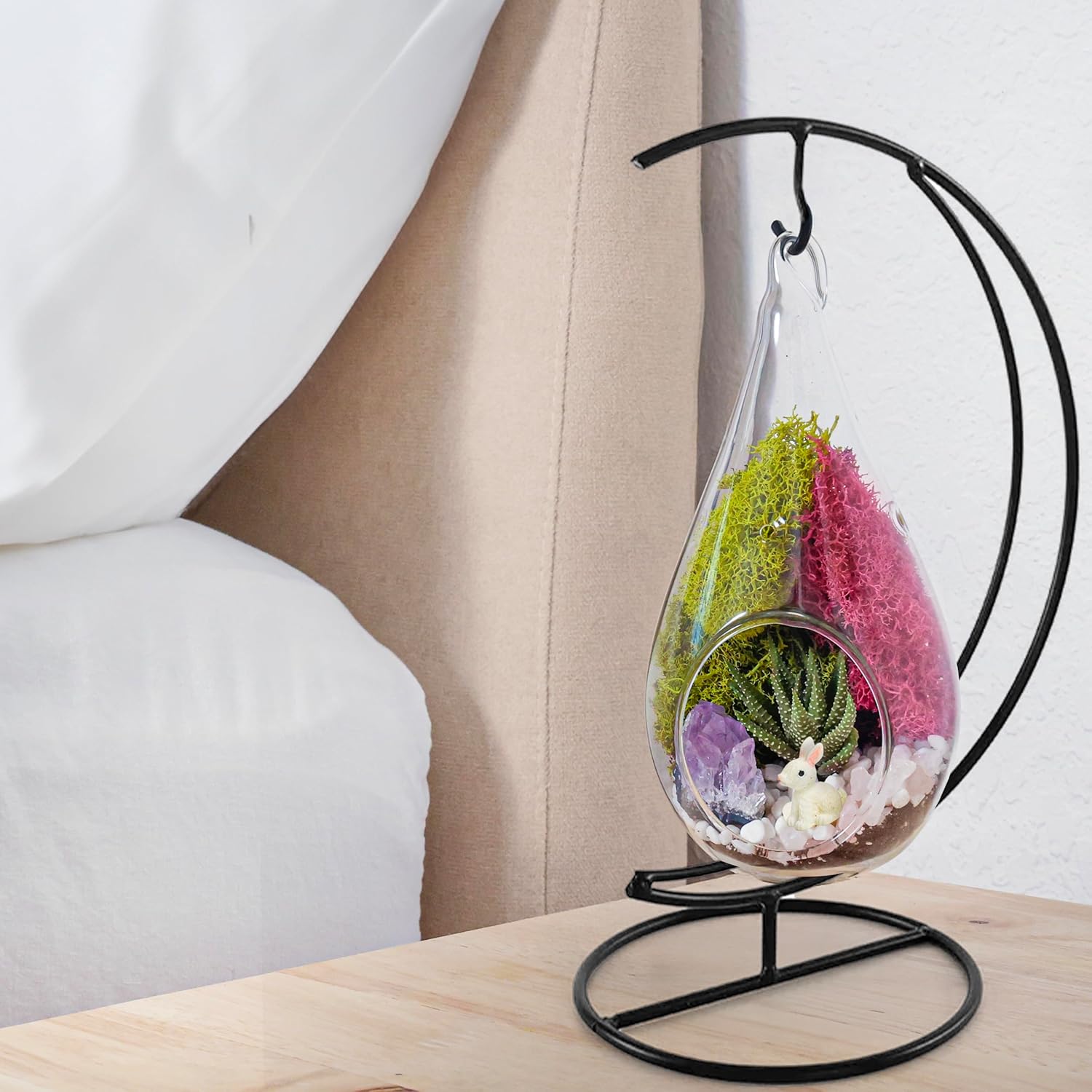 Creations by Nathalie DIY 7" DIY Teardrop Terrarium Kit - Build Your Own Glass Terrarium for Adults & Teens with Moss