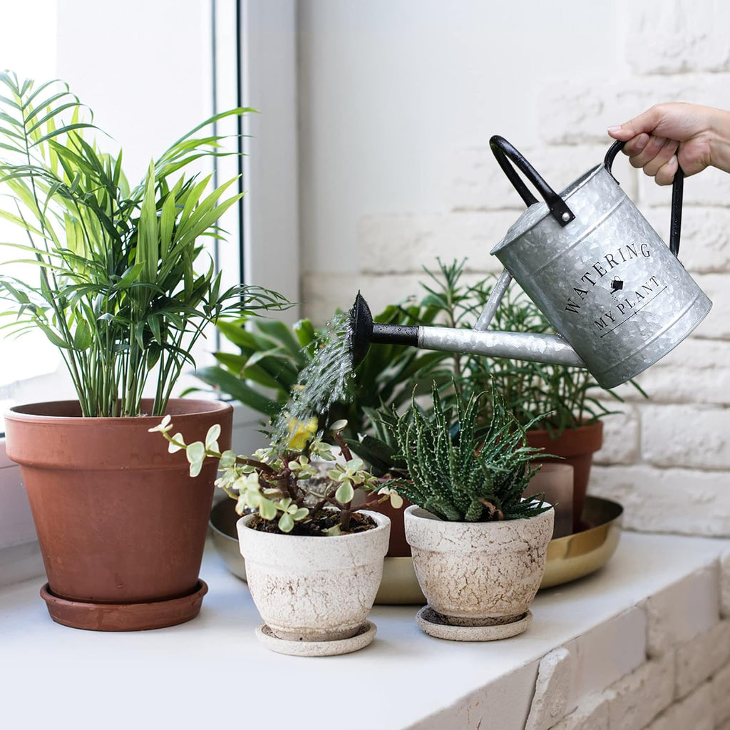 Garutom Galvanized Watering Can for Outdoor Indoor Plants, 1 Gallon Decorative Countryside Style Water Can with