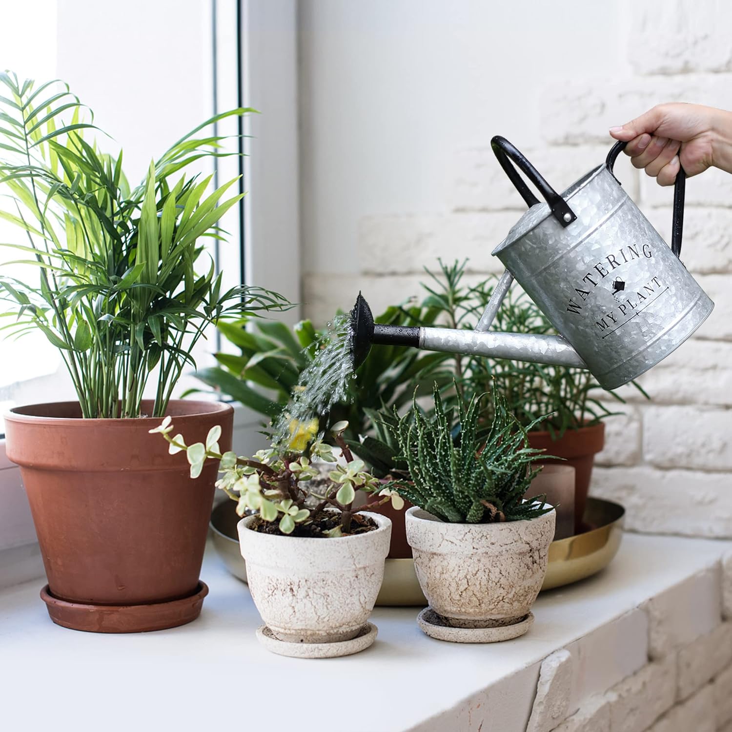 Garutom Galvanized Watering Can for Outdoor Indoor Plants, 1 Gallon Decorative Countryside Style Water Can with