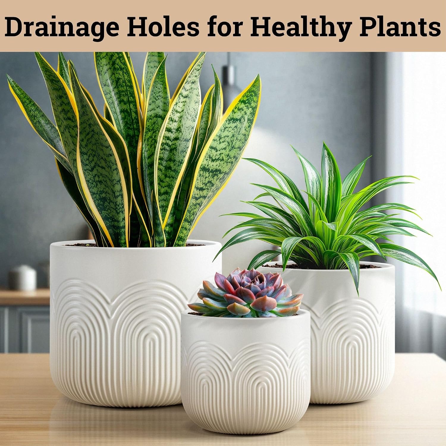 Ceramic Pots for Plants Set of 3, 6, 5, 4 Inch Diameter with Drainage Holes | Thick Durable Ceramic Pots, Plant Pots