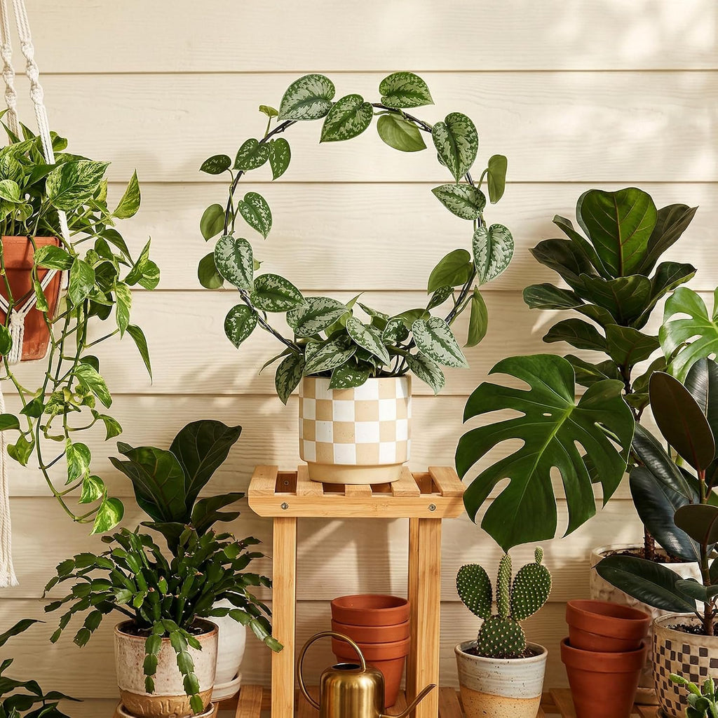 20 Pcs Round Plant Trellis for Indoor Potted Plants, 10.5 InchSmall Trellis for Climbing Plants Indoor Outdoor Plant