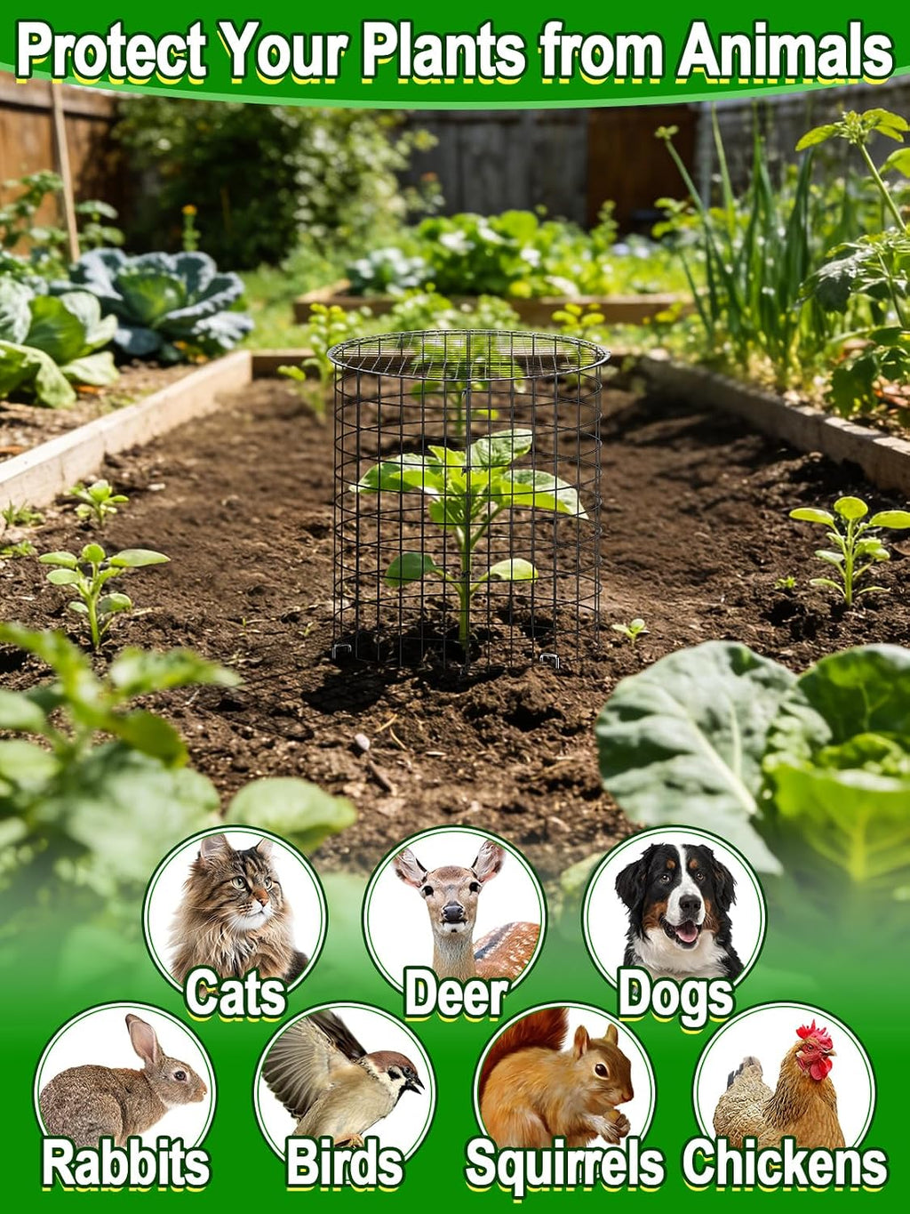 16''H x 11''Dia Plant Protectors from Animals - Full-Protection Anti-Rust Plant Cages with Covers for Outdoor Plants