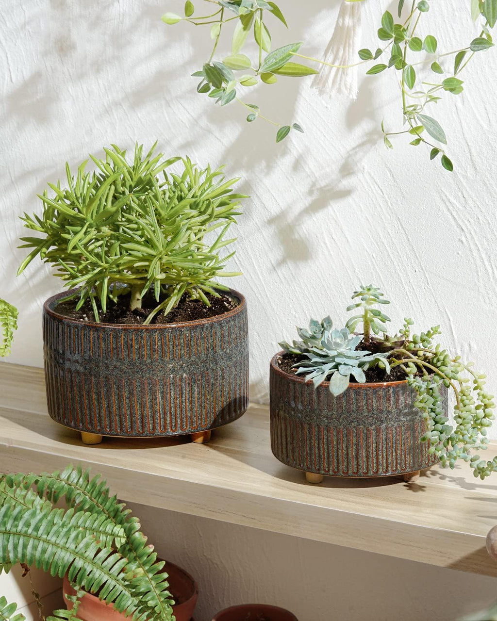 LE TAUCI Succulent Pots, 6.5+8 Inch Ceramic Pots for Plants Indoor, Shallow Round Succulent Planters with Drainage