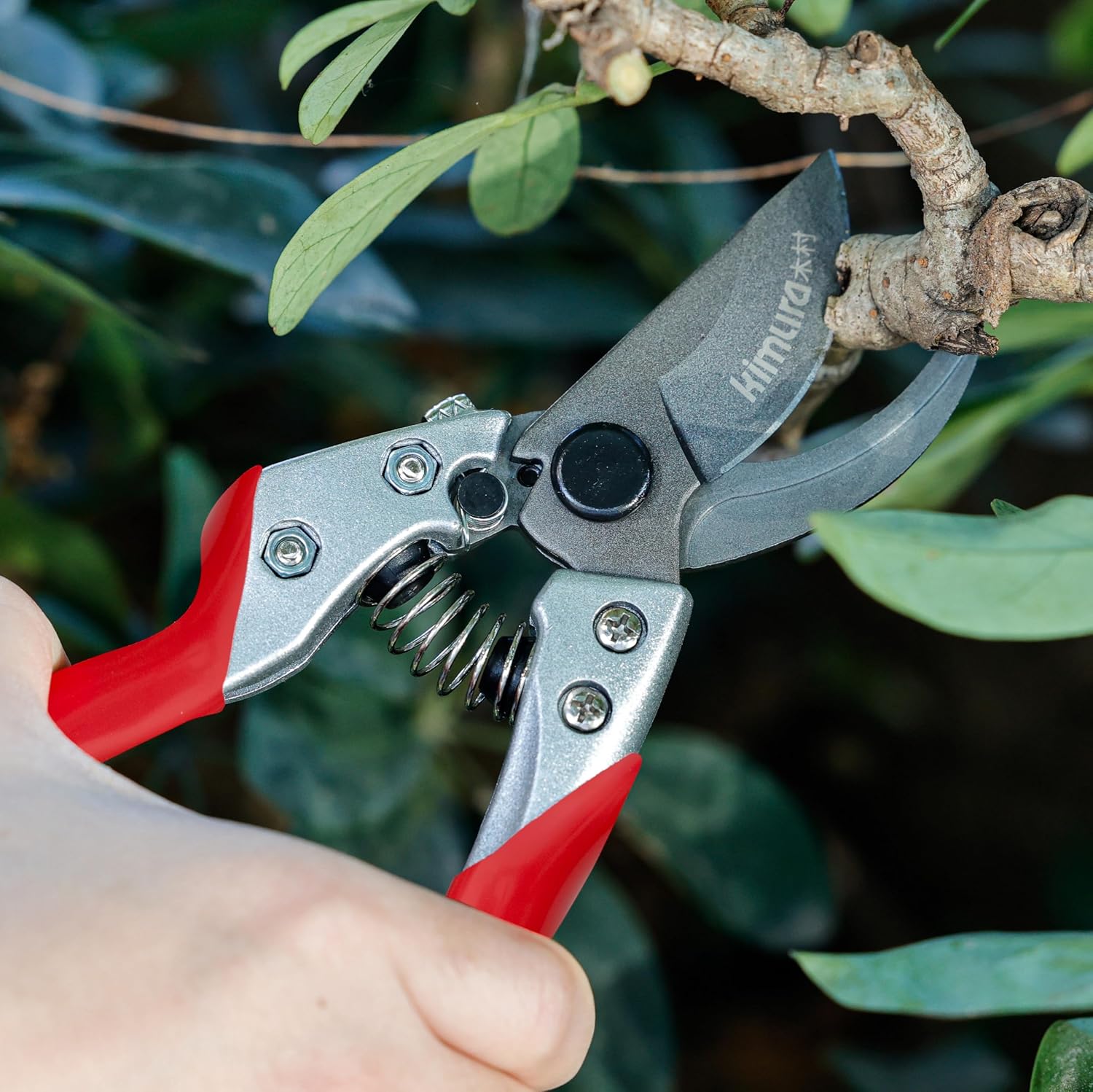 Kimura® 8" Pro Bypass Pruning Shears, Heavy Duty Japanese SK5 Steel Blades, 1 inch Cut Capacity, Non-Slip PVC Coated