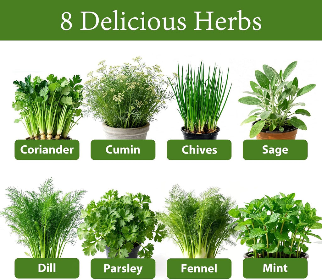 LUOJIBIE Herb Garden Kit Indoor, Herb Growing Kit with Seeds & Tools, Birthday Gifts for Women Men Mom Dad Girls Boys
