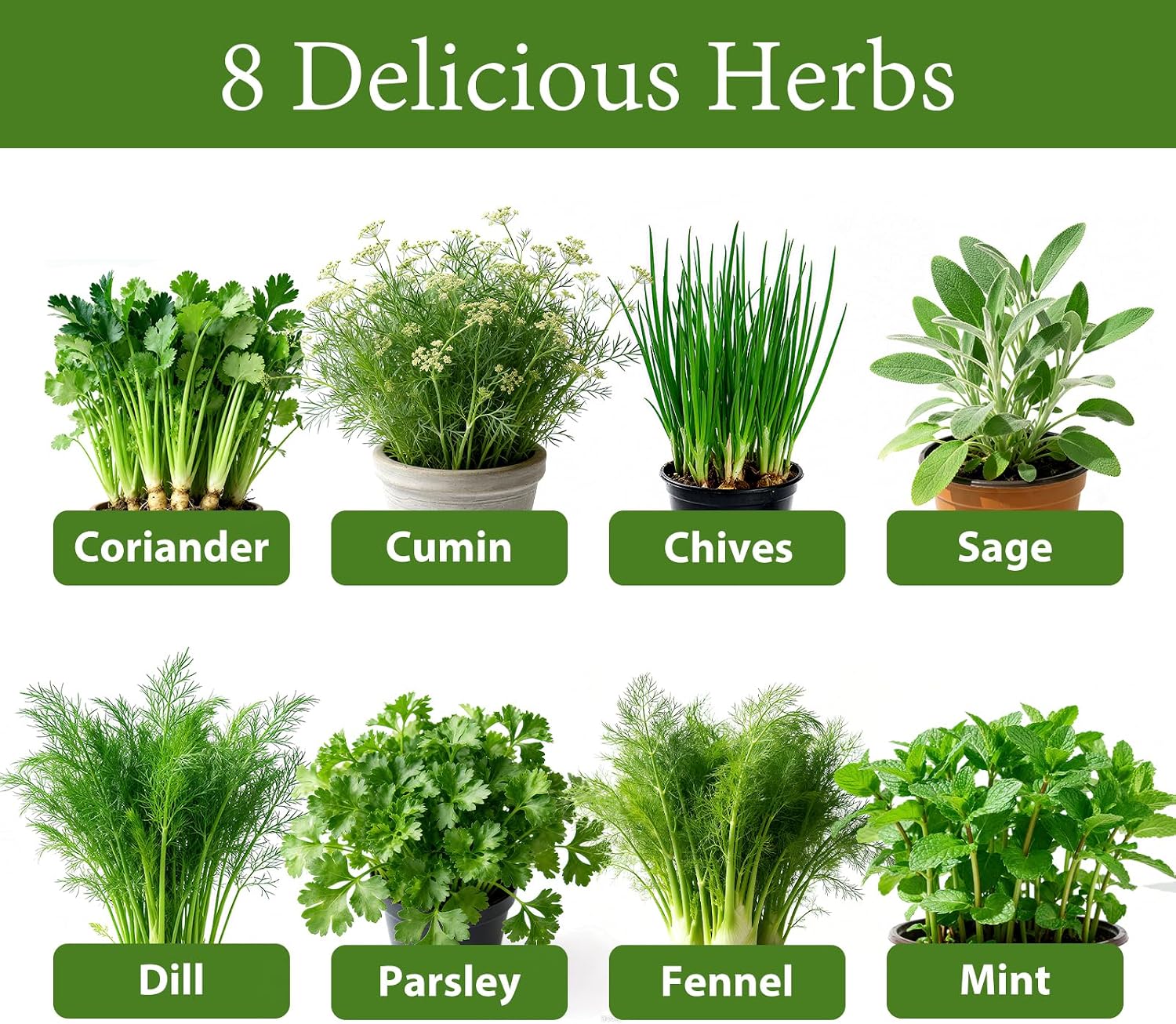 LUOJIBIE Herb Garden Kit Indoor, Herb Growing Kit with Seeds & Tools, Birthday Gifts for Women Men Mom Dad Girls Boys