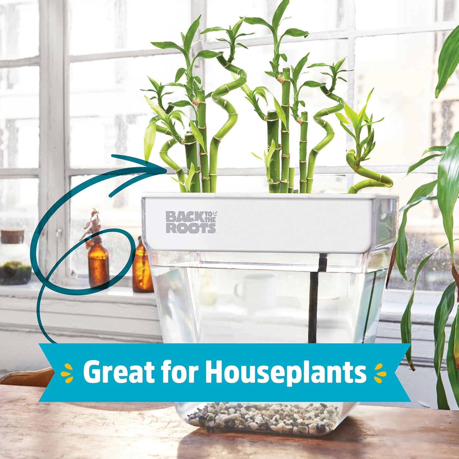 Back to the Roots Indoor Aquaponic Garden - 3 Gallon Self Watering, Mess-Free Planter and Self-Cleaning Fishtank for