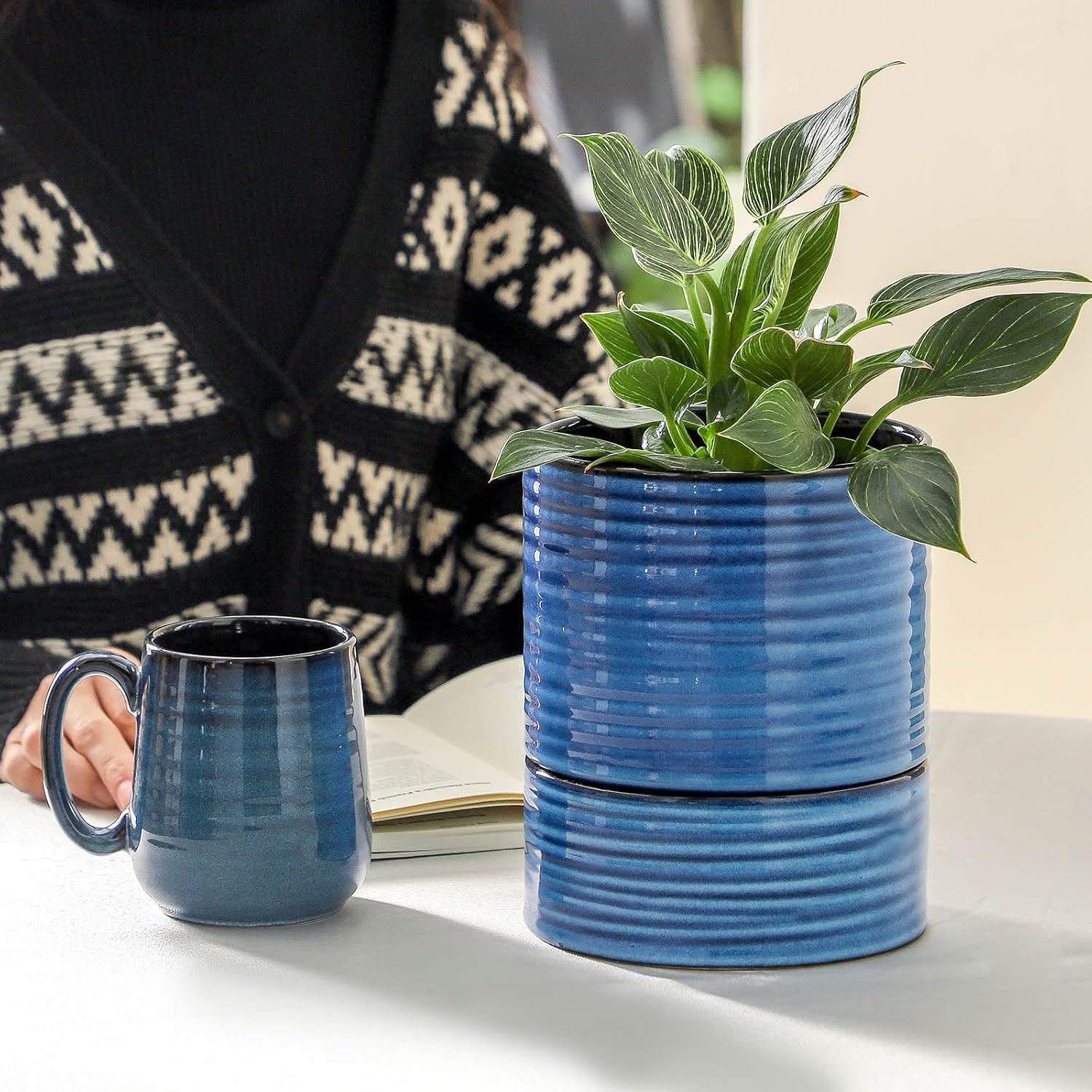 HASENSE Ceramic Self Watering Pots for Indoor Plant, 6 Inch Planter with Drainage Hole & Water Storage Saucer for