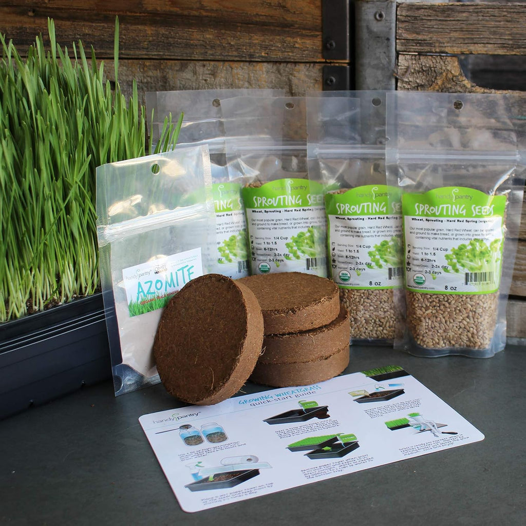 Handy Pantry Organic Wheatgrass Growing Starter Kit Grow & Juice Wheat | Grass Includes Non-GMO, Organic Wheatgrass